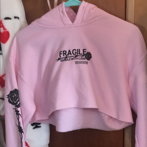 Petals and Peacocks Tops - Petals and Peacocks baby pink crop graphic hoodie